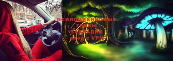 СК Абдулино