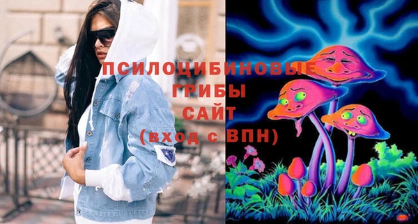 СК Абдулино