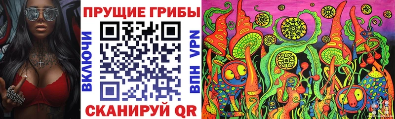 Галлюциногенные грибы MAGIC MUSHROOMS  цены   Правдинск 