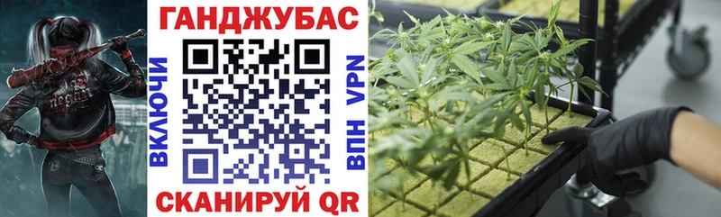 Конопля SATIVA & INDICA  Правдинск 
